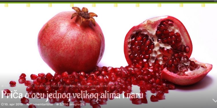 Priča o ocu jednog velikog alima i naru