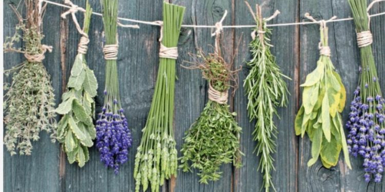 Ovi začini za hranu odlični su za prirodnu detoksikaciju vašeg tijela