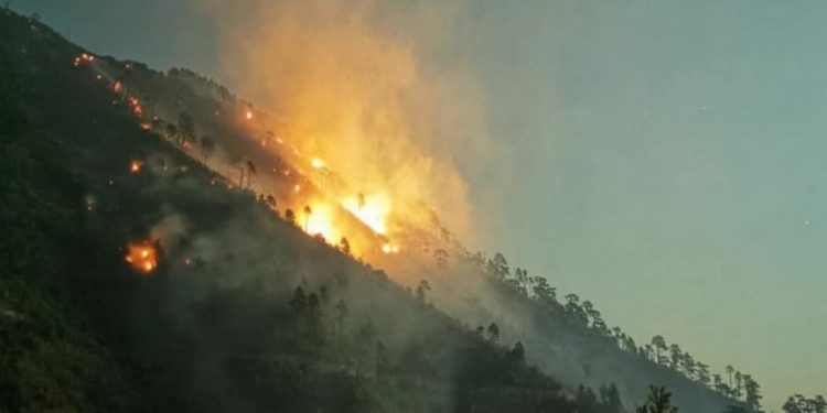 Gori u Mostaru, Jablanici, Konjicu, Stocu