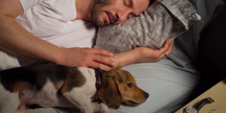 Kako su psi ukrali naša srca