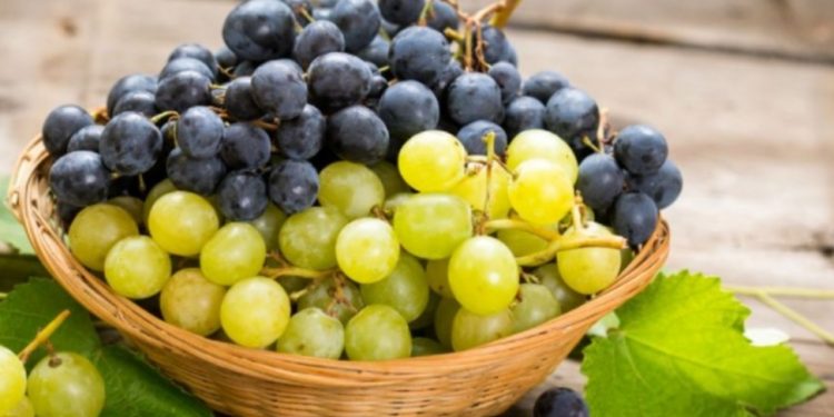 Bobice zdravlja čuvaju srce i olakšavaju disanje