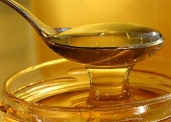 Pčelari upozoravaju – ove godine će biti mnogo krivotvorenog meda
