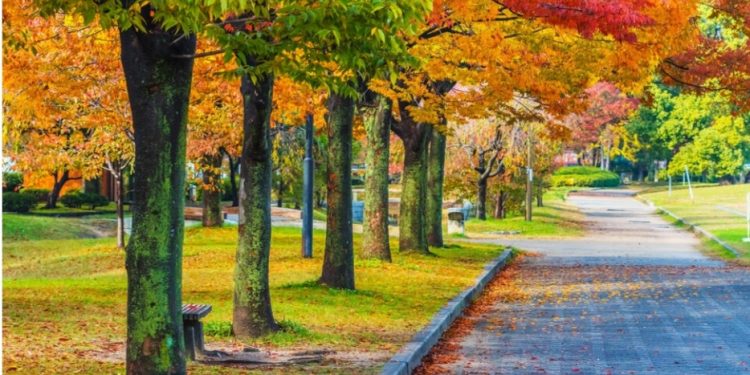 Danas je prvi dan jeseni, evo kakvo nas vrijeme očekuje