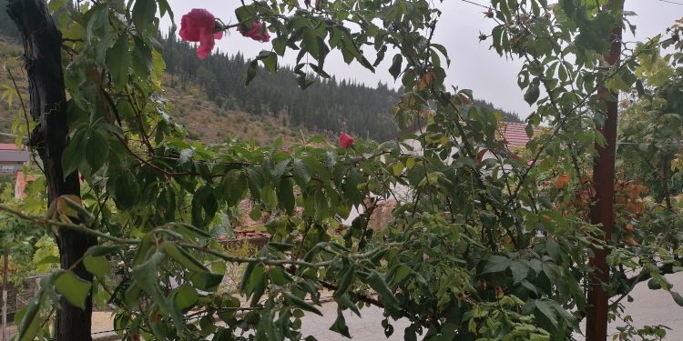 Meteorolozi upozoravaju: Budite spremni da zaštitite sebe i svoju imovinu