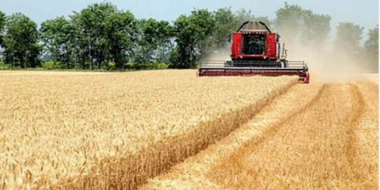 EU – Za prerađivačke kapacitete i marketing u poljoprivredi tri miliona KM