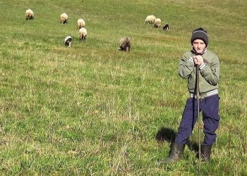 Dječak Adnan džeparac troši kako bi proširio svoje stado ovaca, njegova priča oduševila regiju