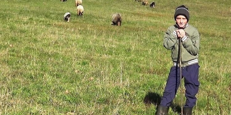 Dječak Adnan džeparac troši kako bi proširio svoje stado ovaca, njegova priča oduševila regiju
