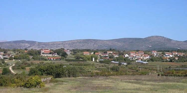 Džafer Obradović: Dubravske kukrice