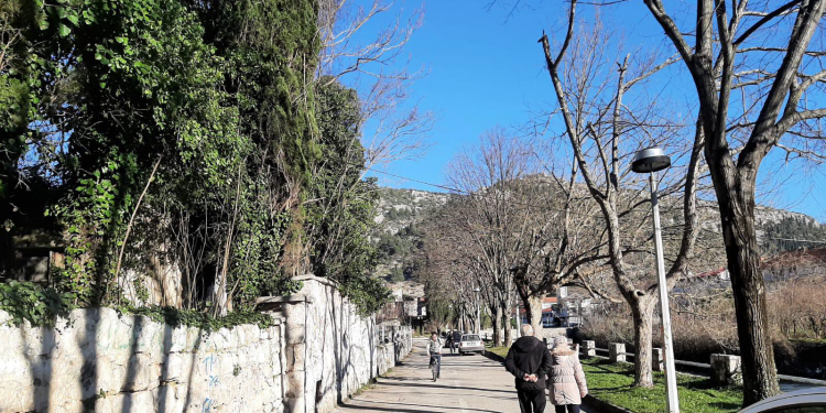 Započinjanje dana šetnjom ima više beneficija na organizam nego što možete da zamislite.