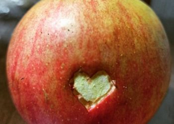 “Ono nekad”, vremena vrijedna življenja