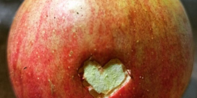 “Ono nekad”, vremena vrijedna življenja