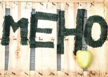 “Meho” – Almin Kaplan
