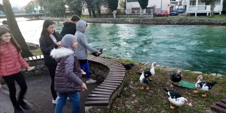 Prva osnovna škola Stolac: Učenici poslali poruku o važnosti svih živih bića na zemlji