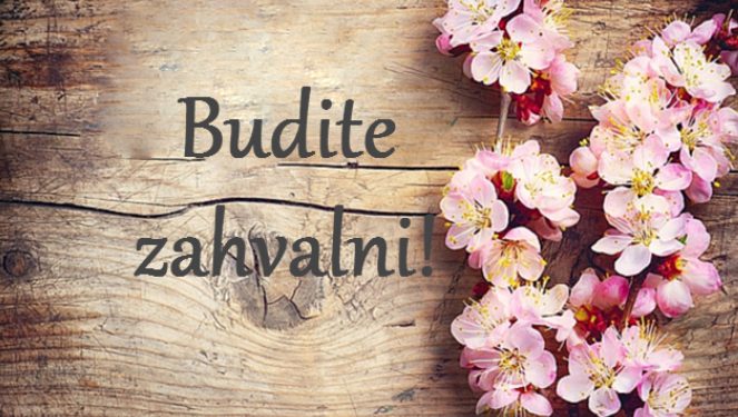 Poučna priča o zahvalnosti