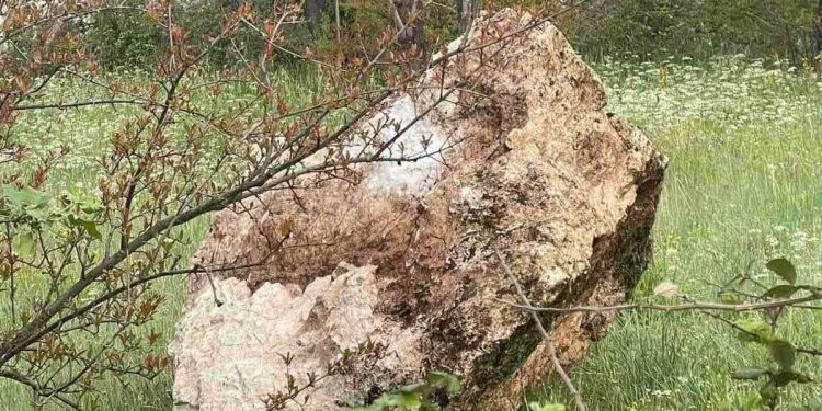 Apel građana za HITAN angažman CIVILNE ZAŠTITE od novih odrona kamenja/stijena u Stocu