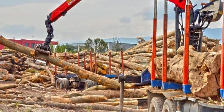 Alarmantna situacija na tržištu ogrijeva u Bosni i Hercegovini, cijene skočile 100 posto