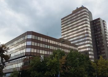 Vlada FBiH uputila inicijativu Vijeću ministara BiH za zabranu izvoza ogrjevnog drveta i peleta