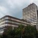 Vlada FBiH uputila inicijativu Vijeću ministara BiH za zabranu izvoza ogrjevnog drveta i peleta