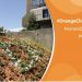 BH Telecom učestvovao u inicijativi “OrangeChallenge” o sprečavanju nasilja nad ženama