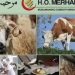 ‘Merhamet’: Obezbijeđene godišnje potrebe mesa za 8.000 korisnika kuhinja