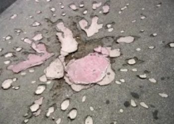 30. godišnjica od masakra na Alipašinom Polju