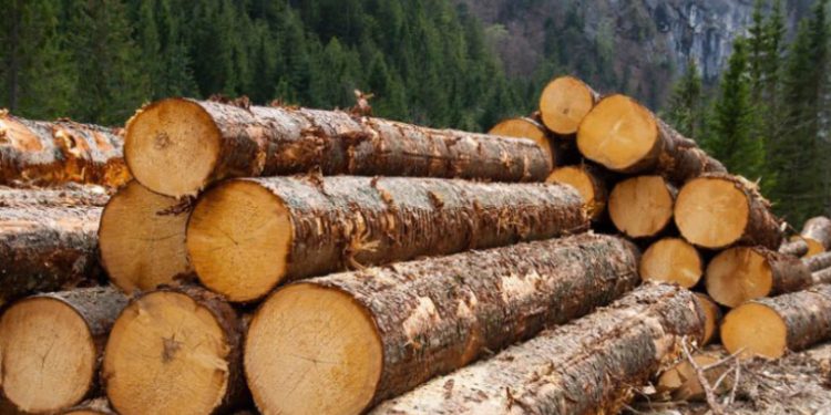 Vlada FBiH predlaže Vijeću ministara BiH da zabranu izvoza drvnih sortimenata produži do kraja godine