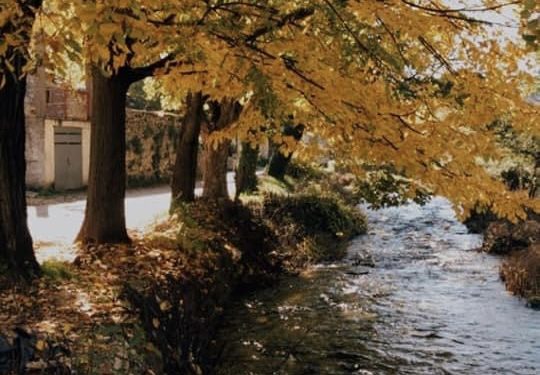 Danas je prvi dan jeseni, trajat će šest minuta duže nego prošle godine