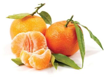 Sezonsko voće koje pruža veliki spektar vitamina i jača naš imunitet