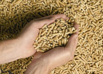 Vlada FBiH bi uskoro trebala ograničiti cijenu peleta