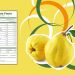 Kompot od dunja – najbolji recept za brzi kompot od dunja
