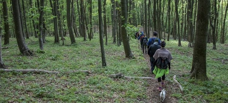 Nemojte vikend provesti na kauču. Evo par ideja
