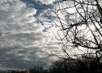 U BiH danas se u očekuje umjereno do pretežno oblačno vrijeme
