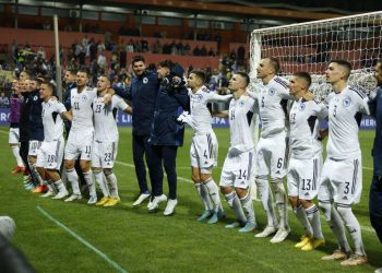 Uspješna godina iza nogometne reprezentacije Bosne i Hercegovine