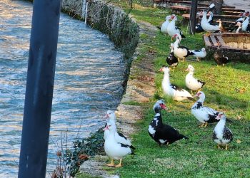 Evo kakvo nas vrijeme očekuje do srijede