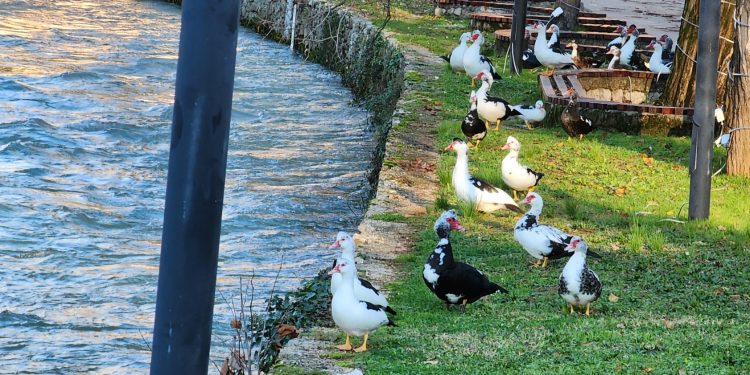 Evo kakvo nas vrijeme očekuje do srijede