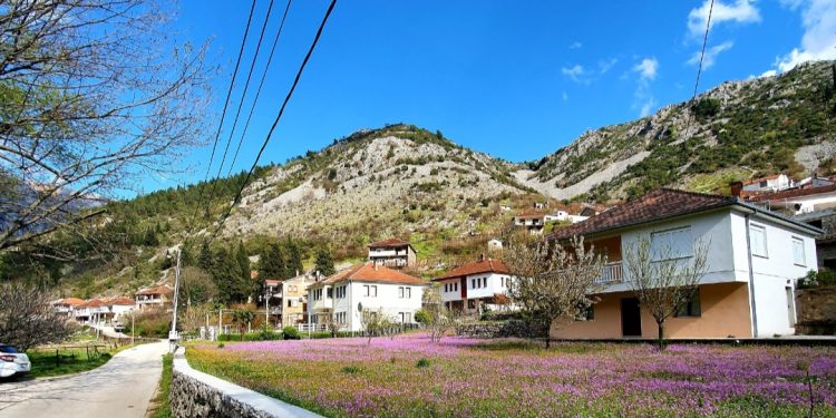 Prezentacija Idejnog projekta: Stabilizacija stjenske mase na istočnim padinama Grada Stoca
