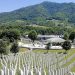 Sutra u Potočarima dženaza i ukop posmrtnih ostataka 30 žrtava genocida u Srebrenici
