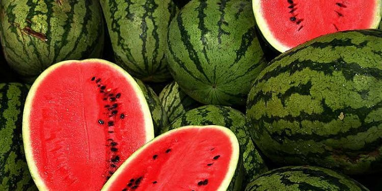 Ljeti je jedemo često, ali znate li koliko je zapravo zdrava? Ovo su dobrobiti lubenice…