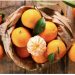 Sezona mandarina je počela: Znate li koje su dobrobit ovog citrusnog voća
