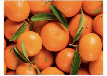 U BiH zabranjen uvoz pošiljke mandarina iz Hrvatske