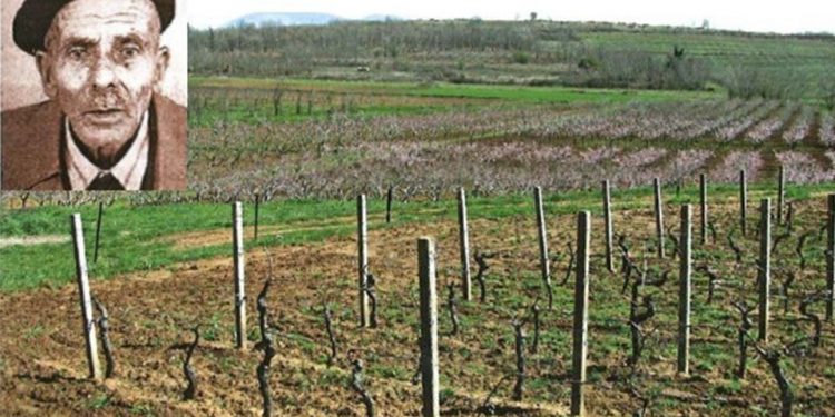 Vakuf Nazifa Hadžiomerovića u Opličićima, Čapljina