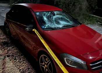 U Stocu brutalno pretučena i mučena četiri momka