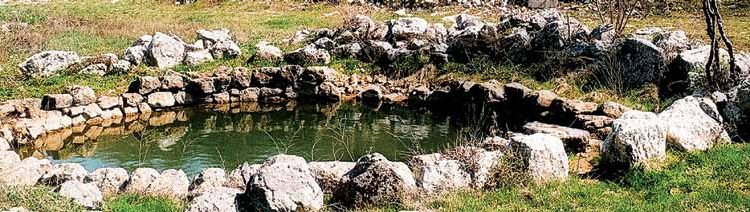 Bunari su kroz historiju bili centar društvenih događaja