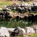 Bunari su kroz historiju bili centar društvenih događaja