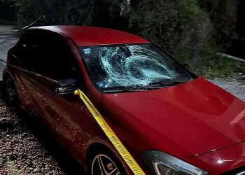 Šta je urađeno nakon napada na mladiće u Stocu? Sedam osoba pod istragom, pritvor nije zatražen
