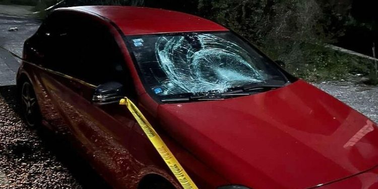 Šta je urađeno nakon napada na mladiće u Stocu? Sedam osoba pod istragom, pritvor nije zatražen