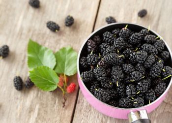 Voće koje smo svi jeli kao mali: Jeste li znali ovo o murvi?