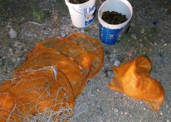 Udruženje sportskih ribolovaca Bregava Stolac: Sve učestaliji protuzakoniti izlov riječnih rakova koji su ugrožena vrsta