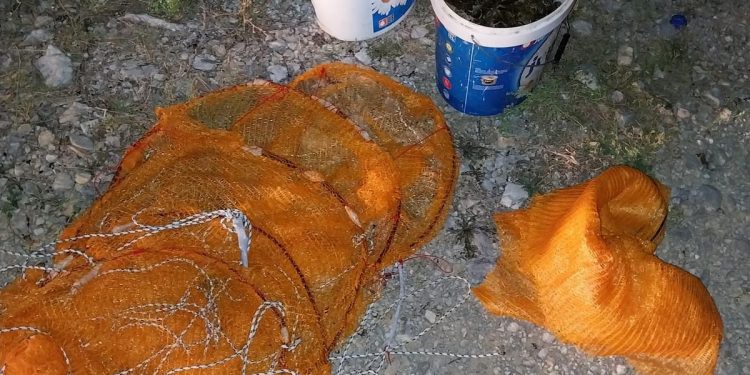 Udruženje sportskih ribolovaca Bregava Stolac: Sve učestaliji protuzakoniti izlov riječnih rakova koji su ugrožena vrsta