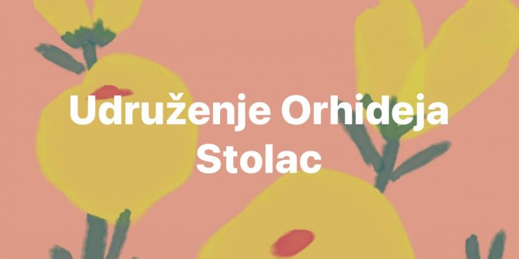 Udruženje Orhideja Stolac poziva mlade od 16-35 godina da se prijave na biznis akademiju